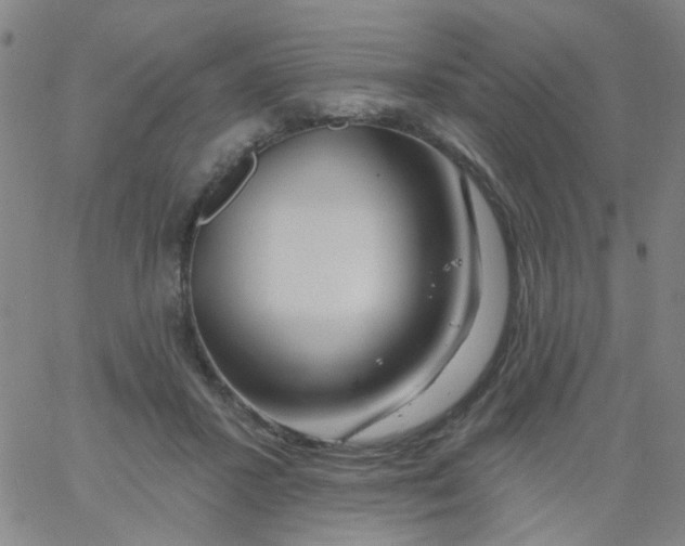 X0000061750407200512231531