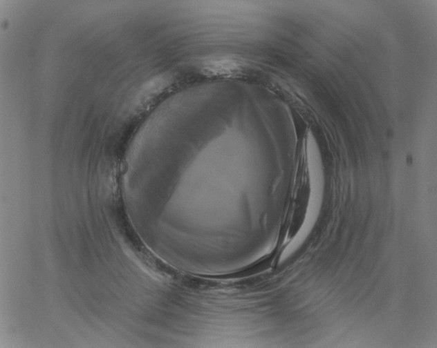 X0000061750408200512231531