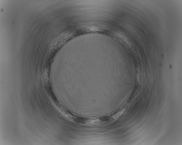 X0000061750410200512231531