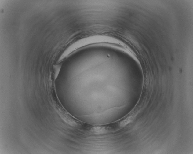 X0000061750413200512231530