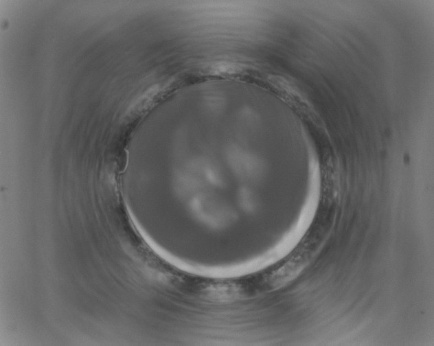 X0000061750415200512231530