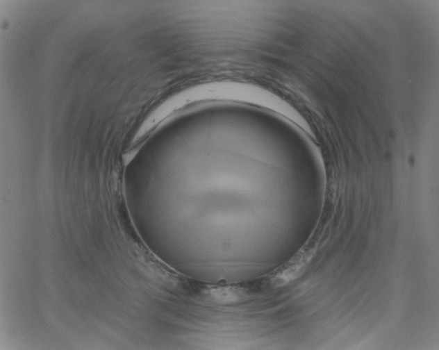 X0000061750417200512231530