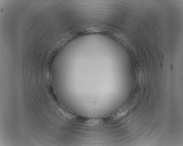 X0000061750418200512231530