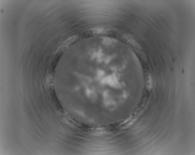 X0000061750419200512231530