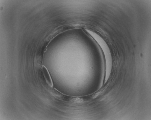 X0000061750421200512231530