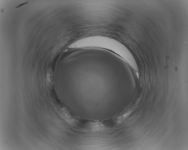 X0000061750424200512231530