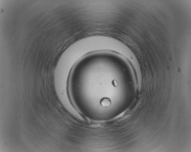 X0000061750425200512231530