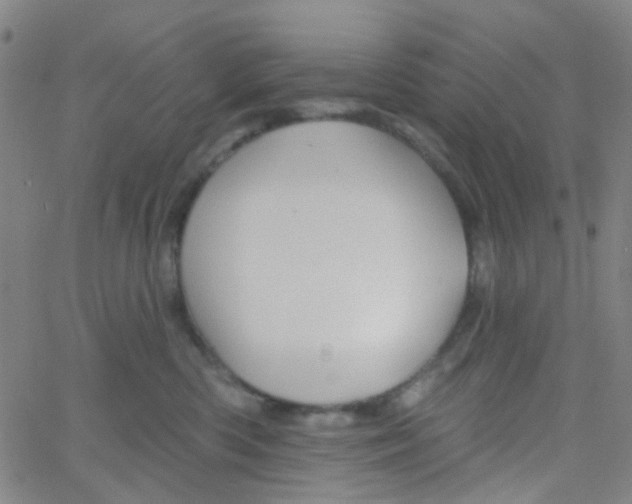 X0000061750426200512231530