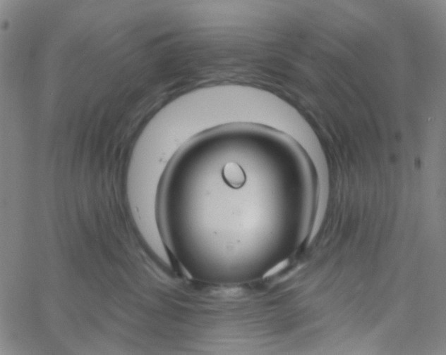 X0000061750428200512231530