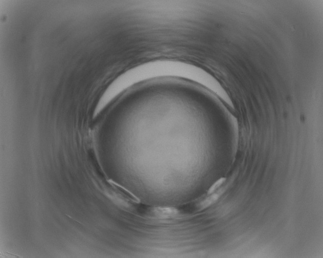 X0000061750429200512231530