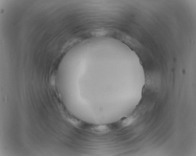 X0000061750431200512231530