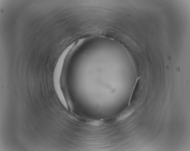 X0000061750432200512231530