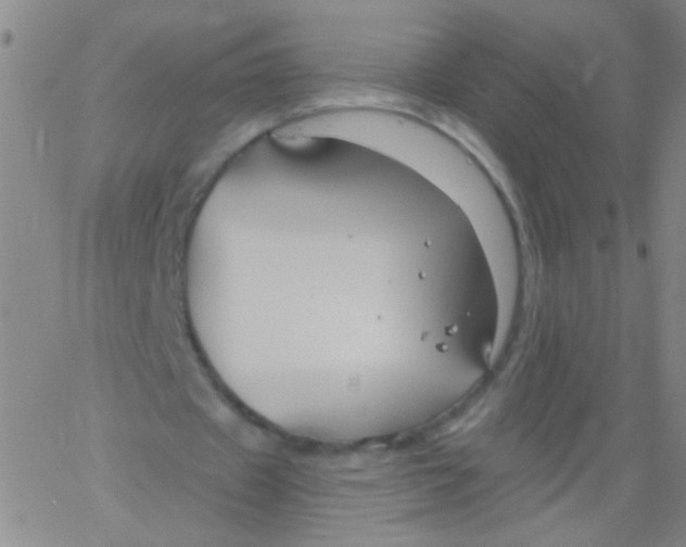 X0000061750433200512231529