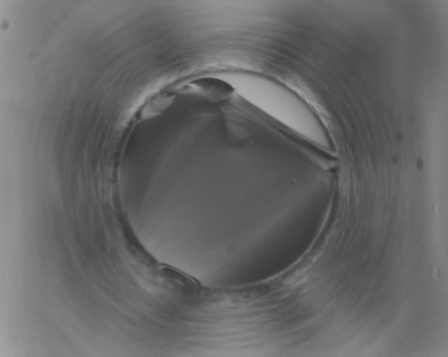 X0000061750434200512231529