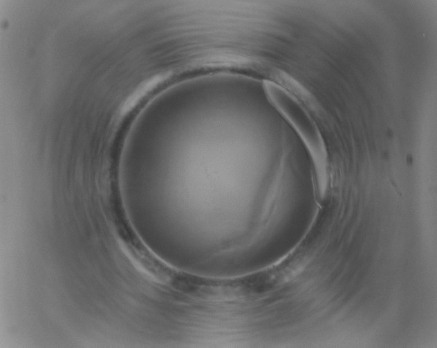 X0000061750436200512231529