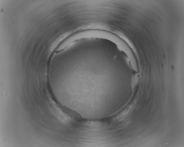 X0000061750437200512231529