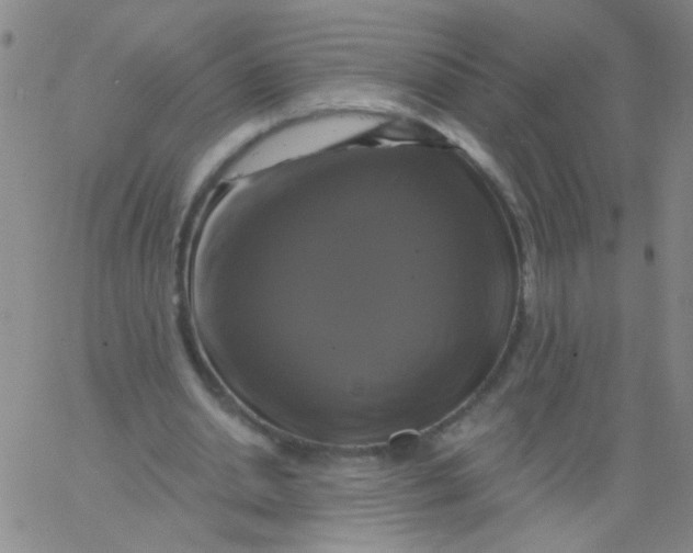 X0000061750438200512231529