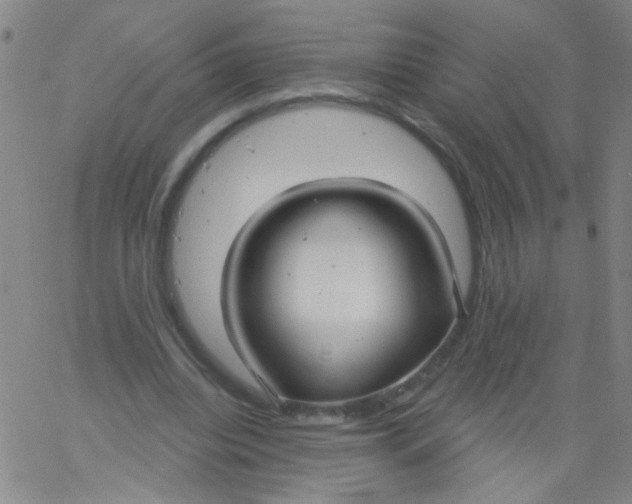 X0000061750440200512231529