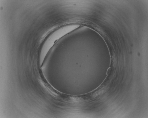 X0000061750442200512231530