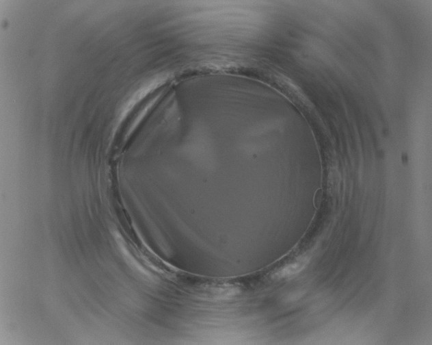 X0000061750443200512231530