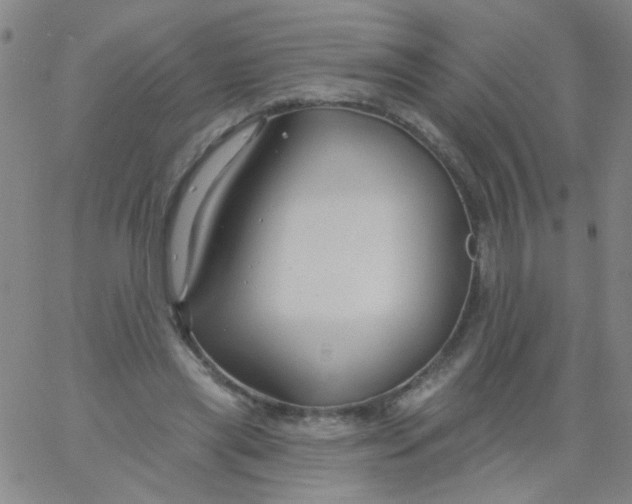 X0000061750445200512231530