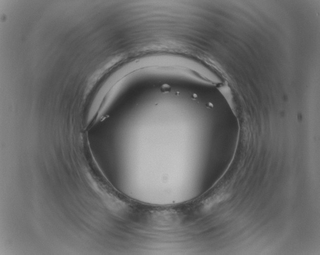 X0000061750446200512231530