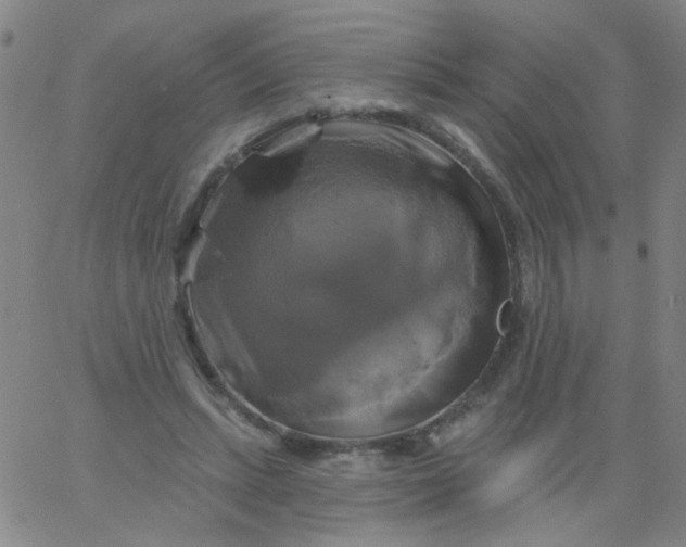 X0000061750447200512231530