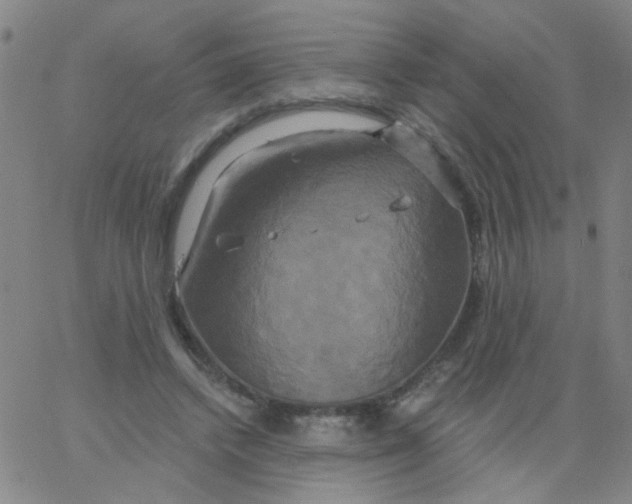 X0000061750448200512231530