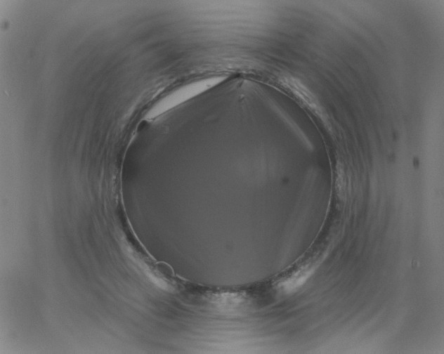 X0000061750449200512231530