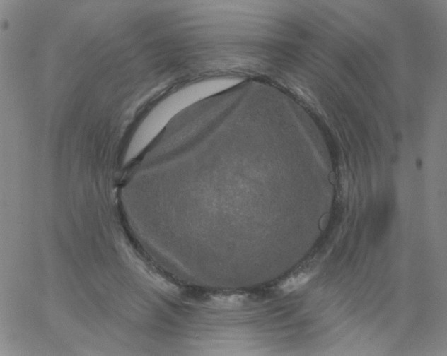 X0000061750450200512231530