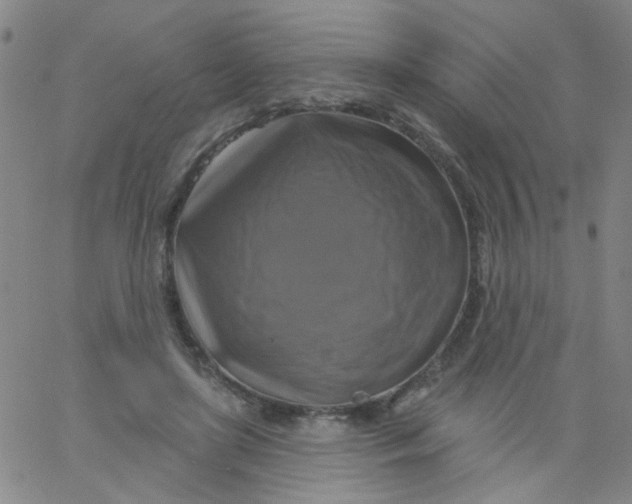 X0000061750451200512231530