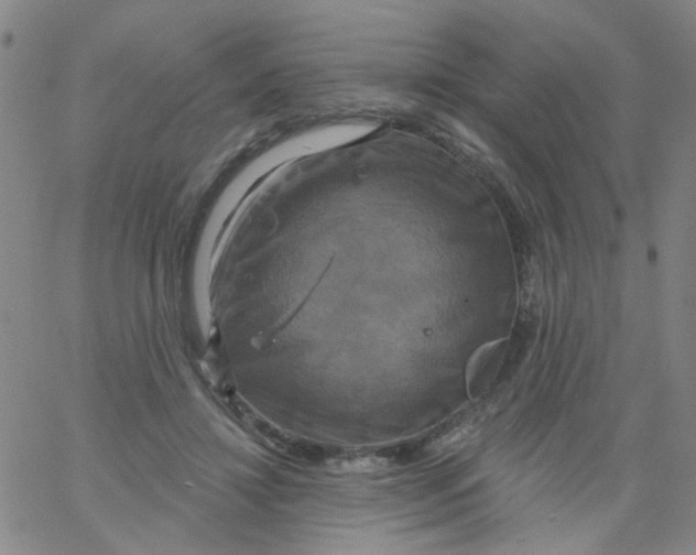 X0000061750452200512231530