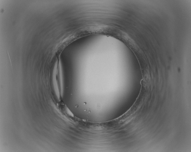 X0000061750454200512231530