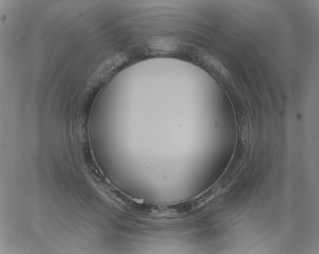 X0000061750455200512231530