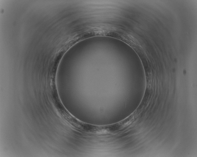 X0000061750456200512231530