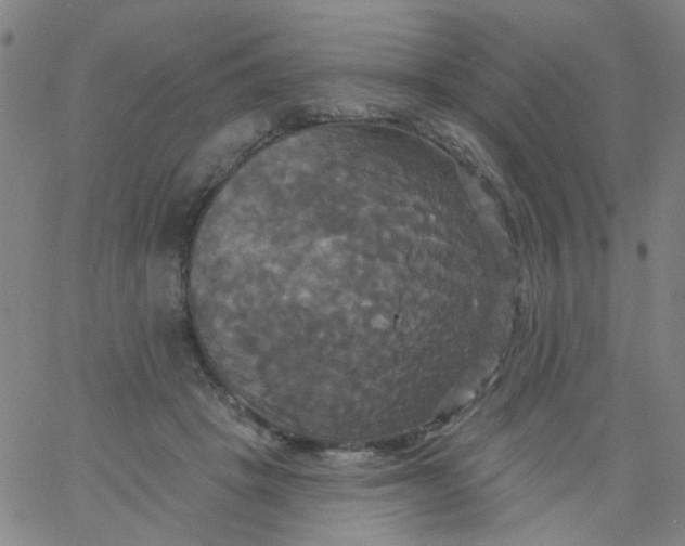 X0000061750457200512231530