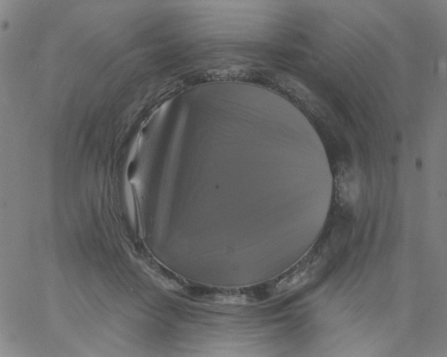 X0000061750458200512231530