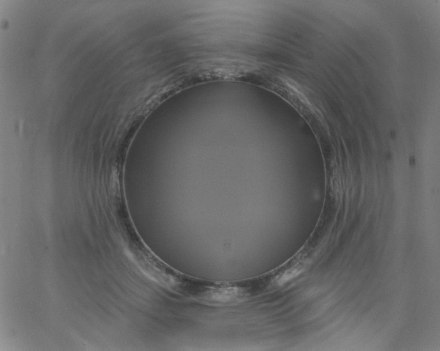 X0000061750459200512231530