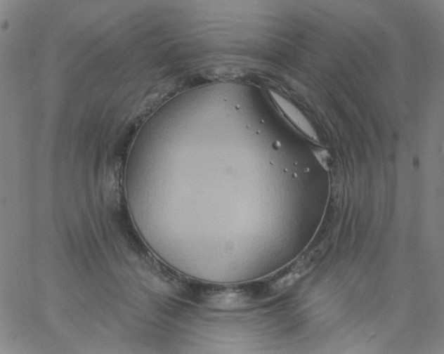 X0000061750460200512231530