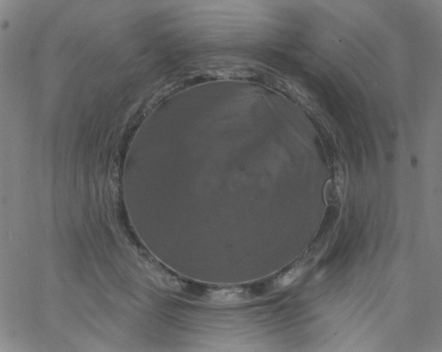 X0000061750461200512231530