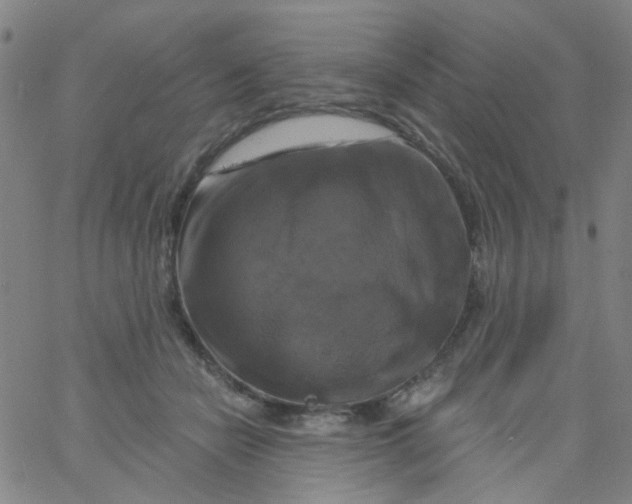 X0000061750462200512231530