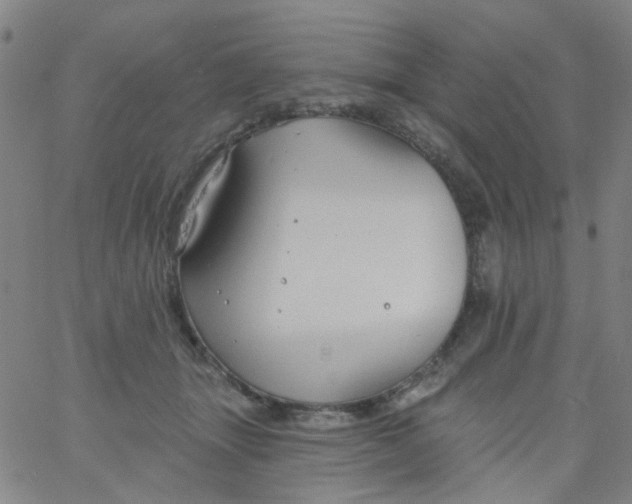 X0000061750463200512231530