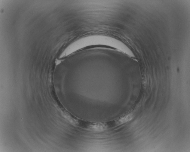 X0000061750466200512231530