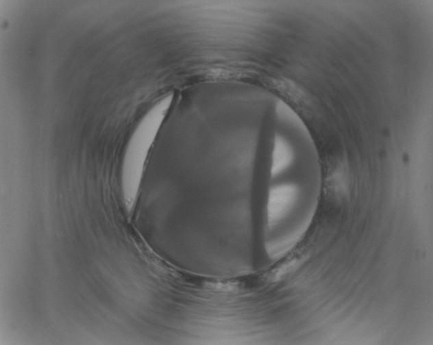 X0000061750469200512231530