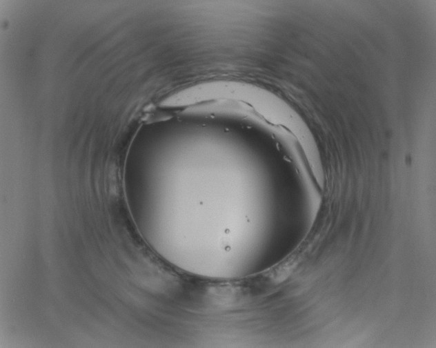 X0000061750470200512231530