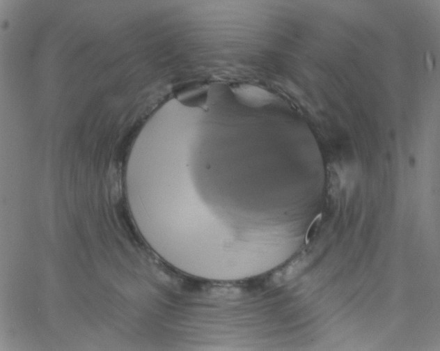 X0000061750471200512231530