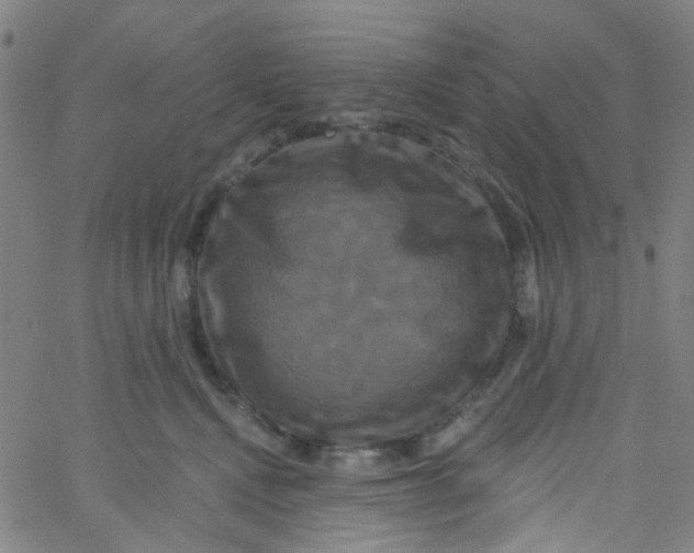 X0000061750472200512231530