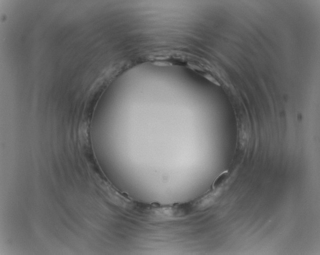 X0000061750473200512231530