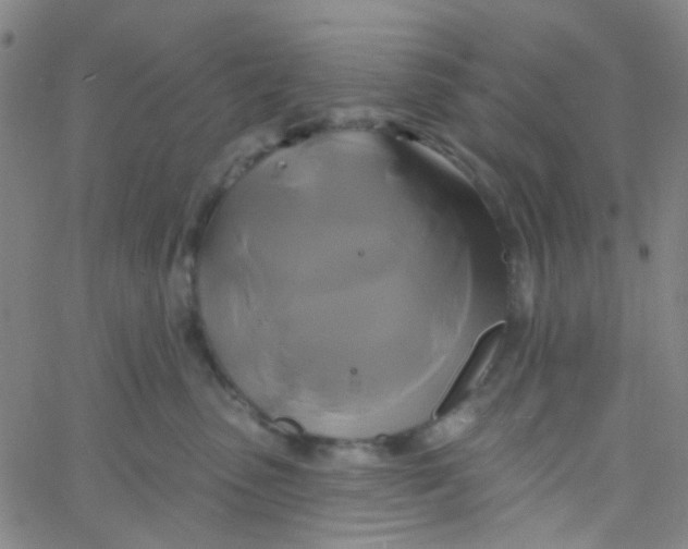 X0000061750475200512231530