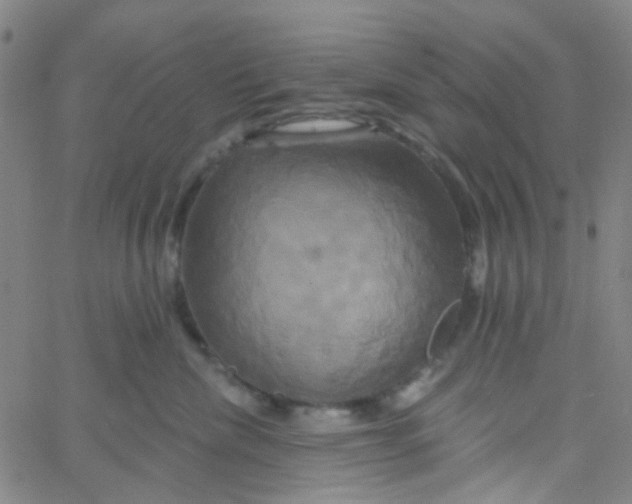 X0000061750476200512231530